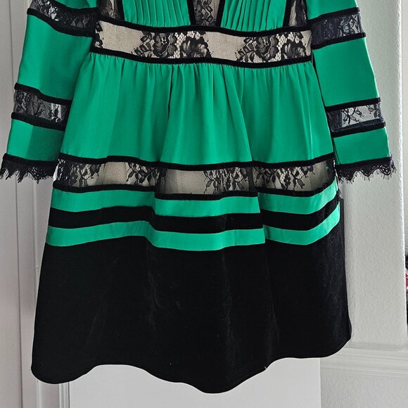 Victorian Luxe Dress - Picture 4 of 4